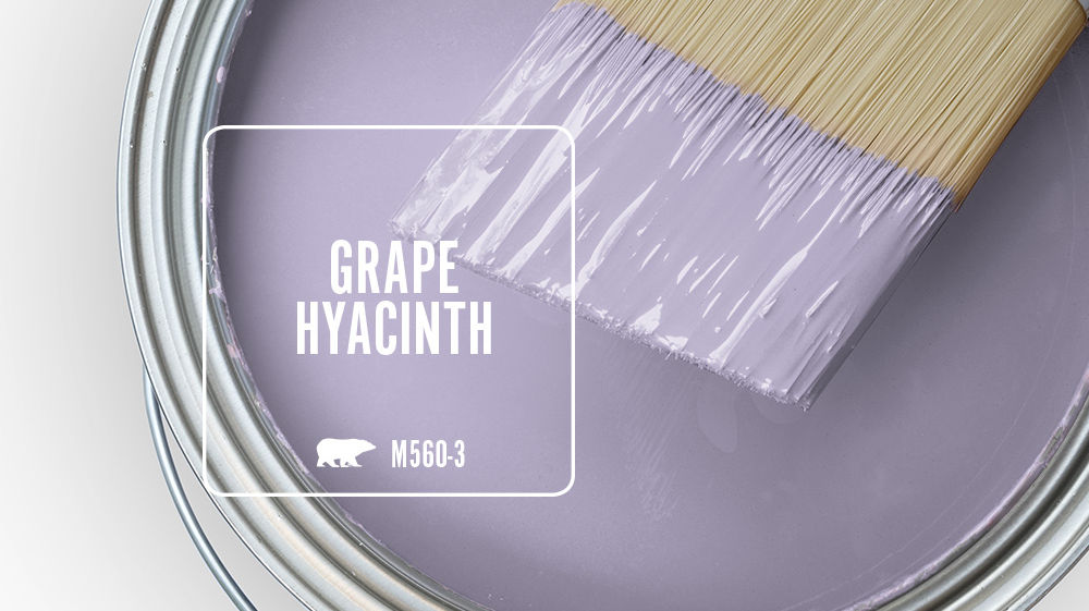 GRAPE HYACINTH Color for Mobile