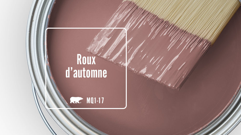 Roux d'automne Color