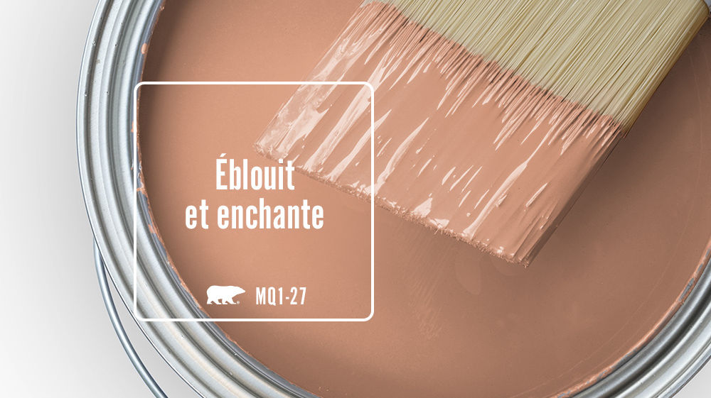 Éblouit et enchante Color for Mobile