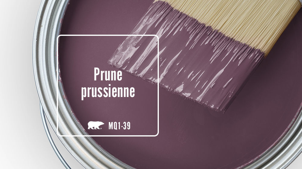 Prune prussienne Color