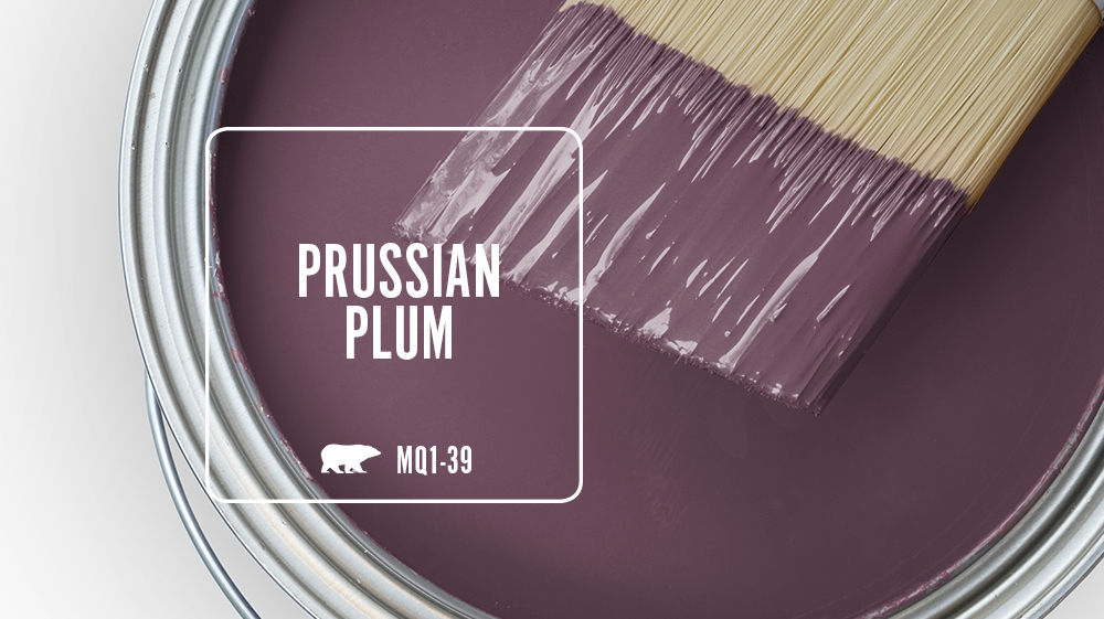 PRUSSIAN PLUM Color for Mobile
