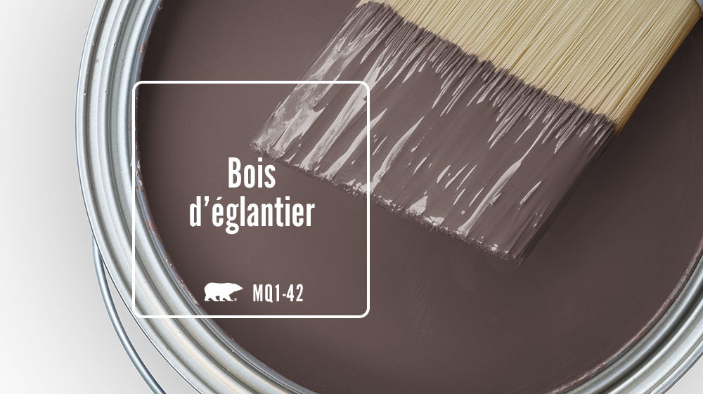 Bois d'églantier Color for Mobile