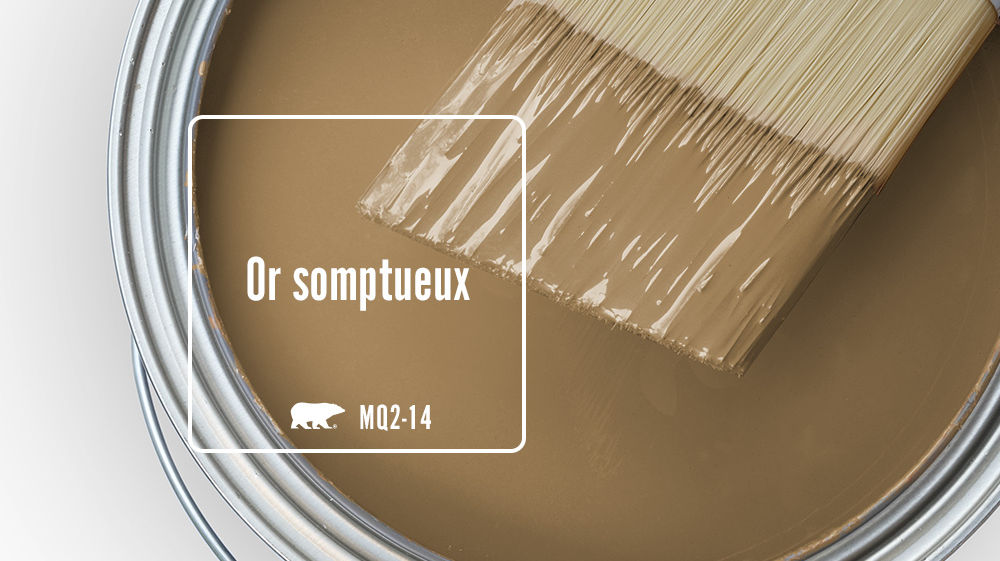 Or somptueux Color for Mobile