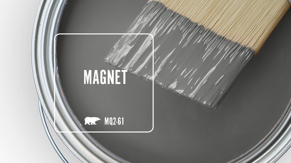 MAGNET Color for Mobile