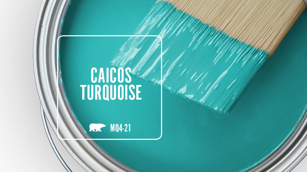 CAICOS TURQUOISE Color for Mobile