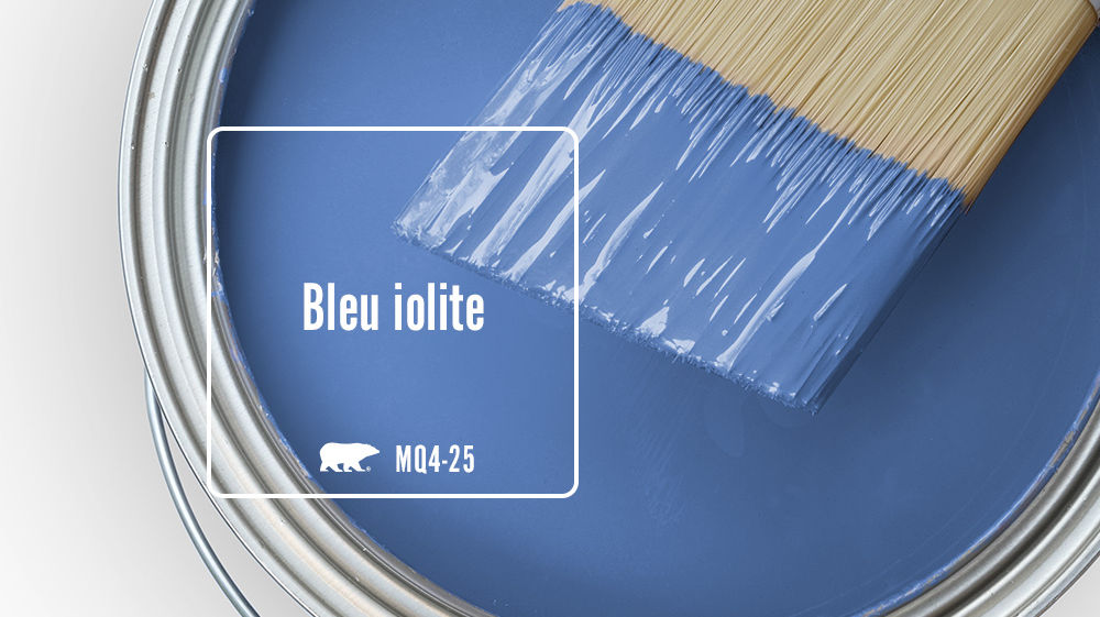 Bleu iolite Color