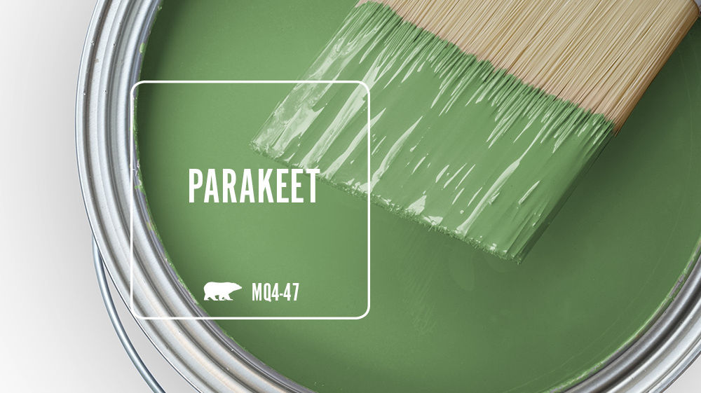 PARAKEET Color for Mobile