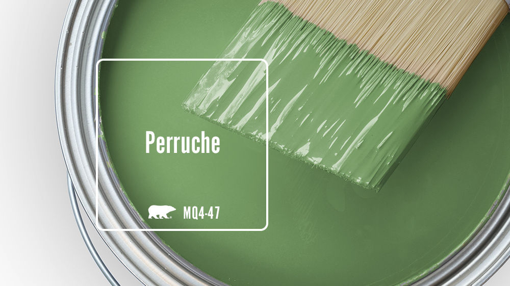 Perruche Color for Mobile