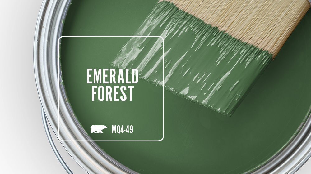 EMERALD FOREST Color for Mobile
