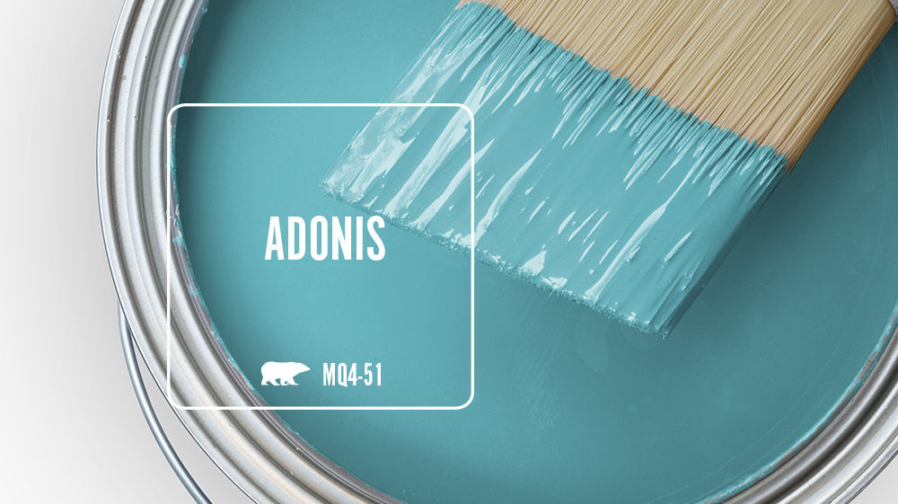 ADONIS Color for Mobile