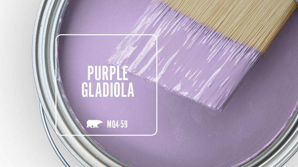 PURPLE GLADIOLA Color for Mobile