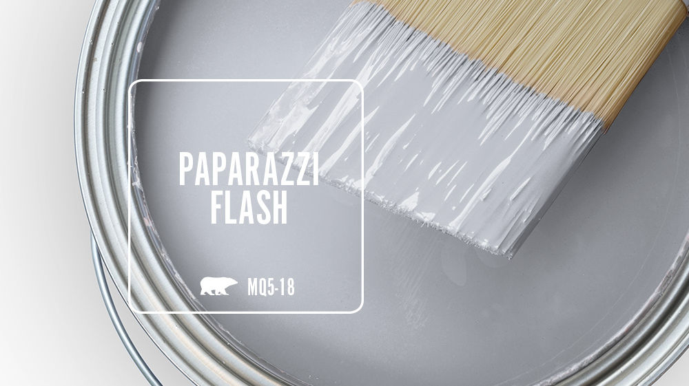 PAPARAZZI FLASH Color for Mobile