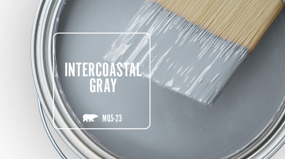 INTERCOASTAL GRAY Color for Mobile