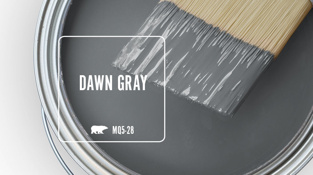 DAWN GRAY Color for Mobile