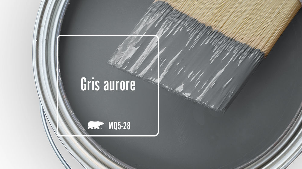 Gris aurore Color for Mobile