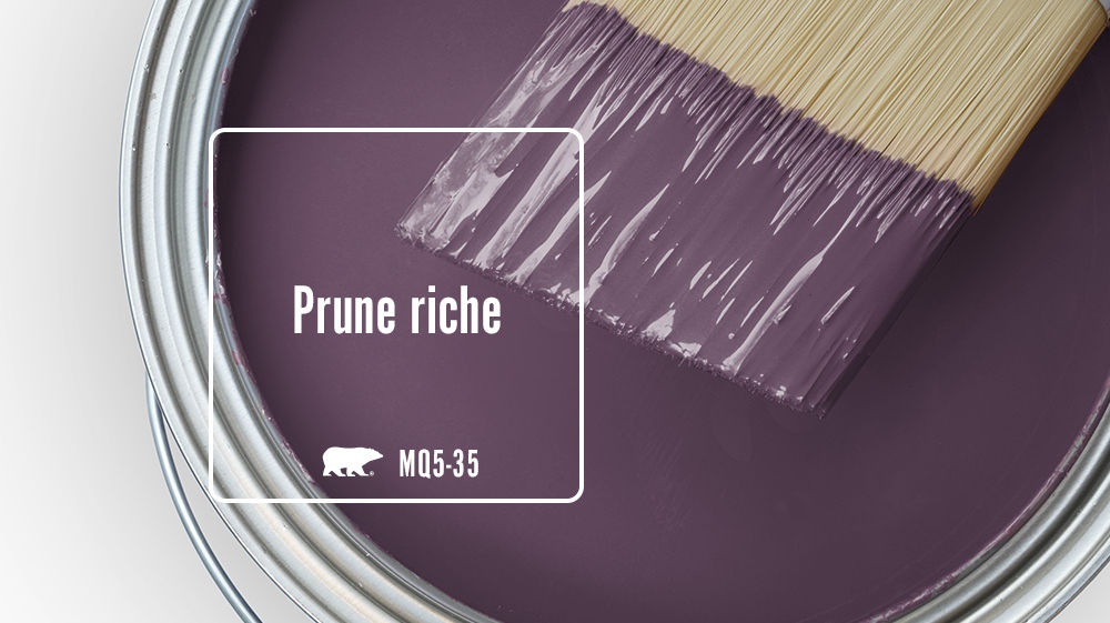 Prune riche Color
