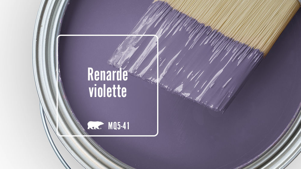 Renarde violette Color