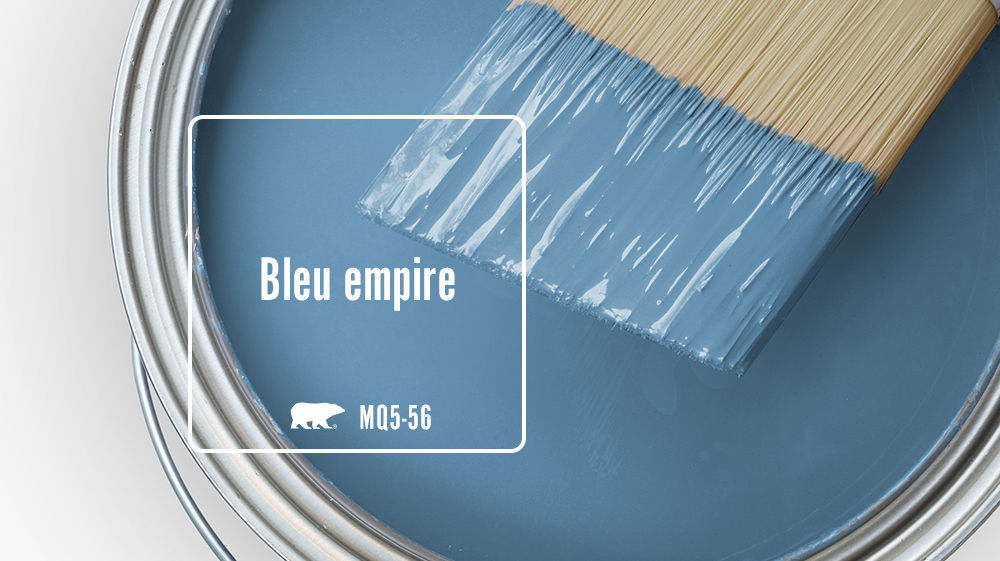 Bleu empire Color
