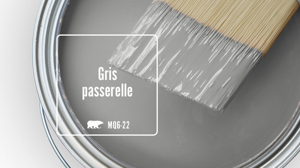 Gris passerelle Color for Mobile
