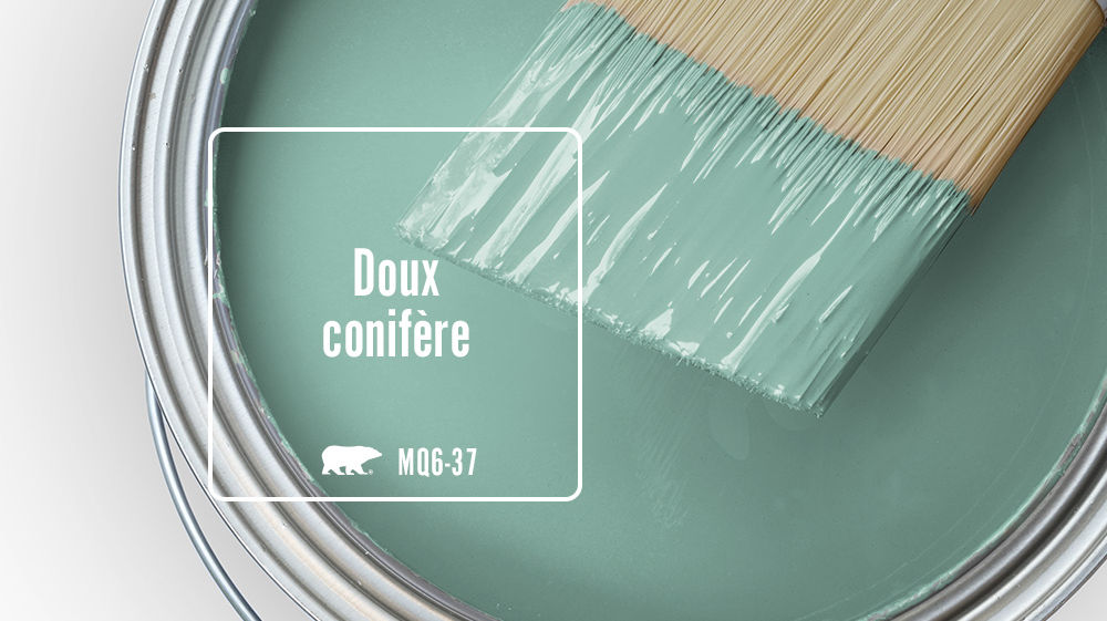 Doux conifère Color for Mobile