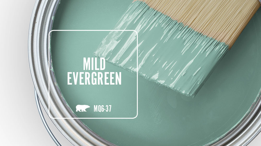 MILD EVERGREEN Color for Mobile