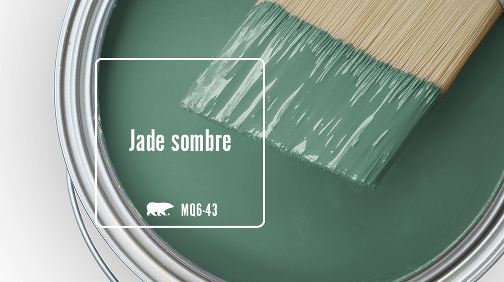 Jade sombre Color
