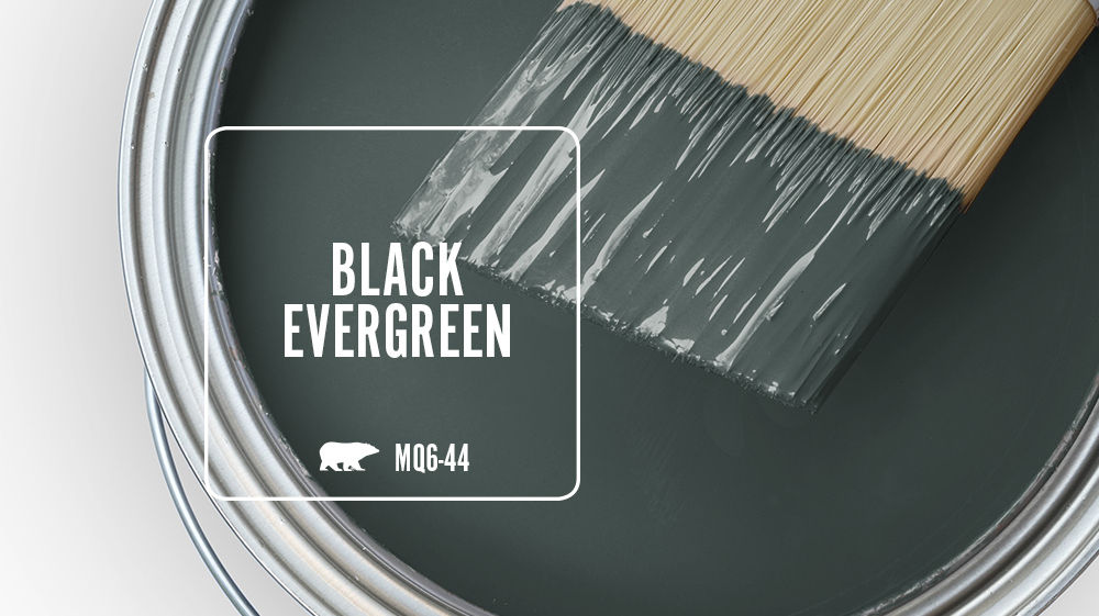 BLACK EVERGREEN Color for Mobile