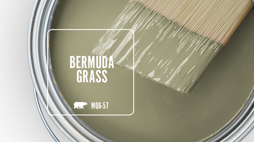 BERMUDA GRASS Color for Mobile