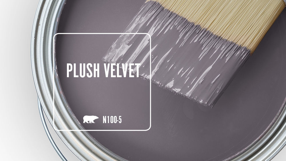 PLUSH VELVET Color for Mobile