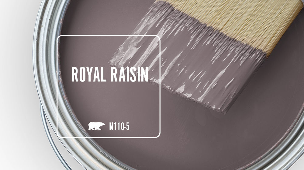 ROYAL RAISIN Color for Mobile