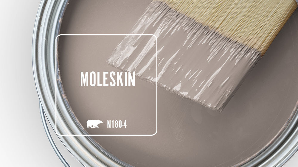 MOLESKIN Color for Mobile
