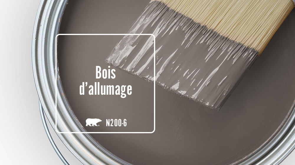 Bois d'allumage Color for Mobile