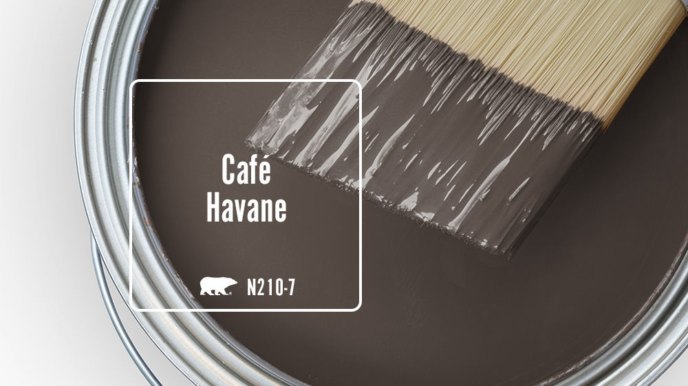 Café Havane Color for Mobile