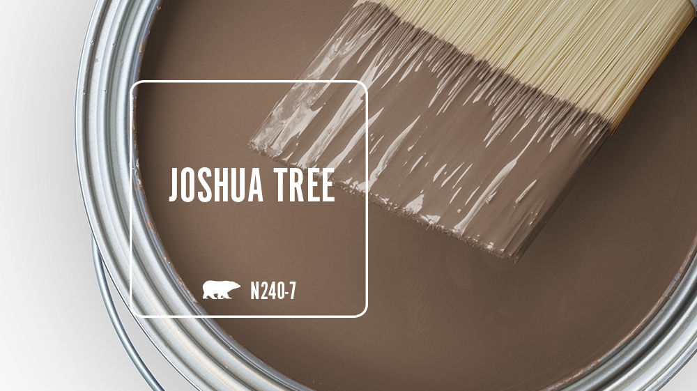 JOSHUA TREE Color for Mobile