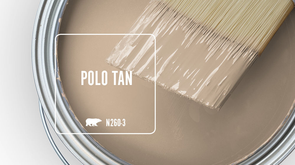 POLO TAN Color for Mobile