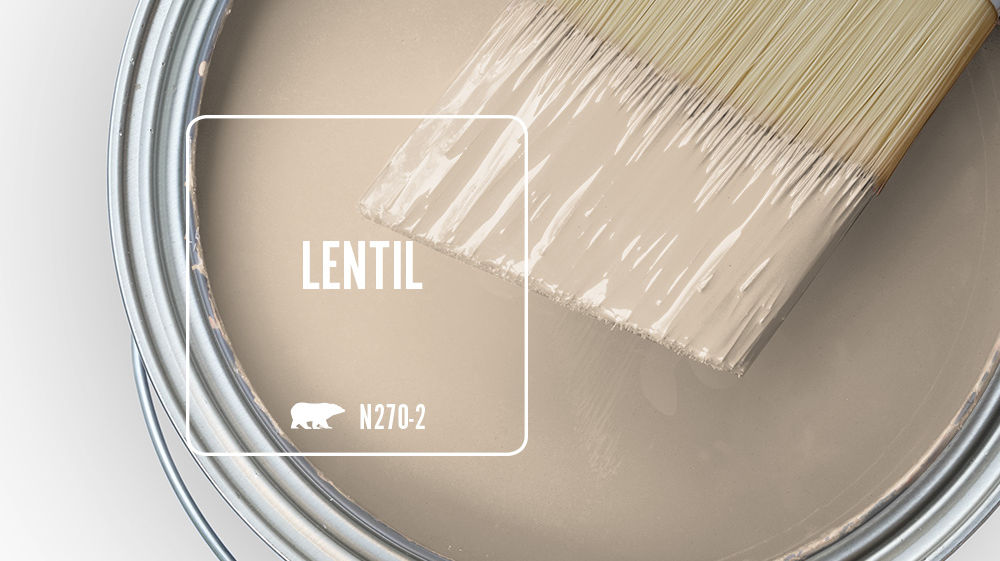 LENTIL Color for Mobile