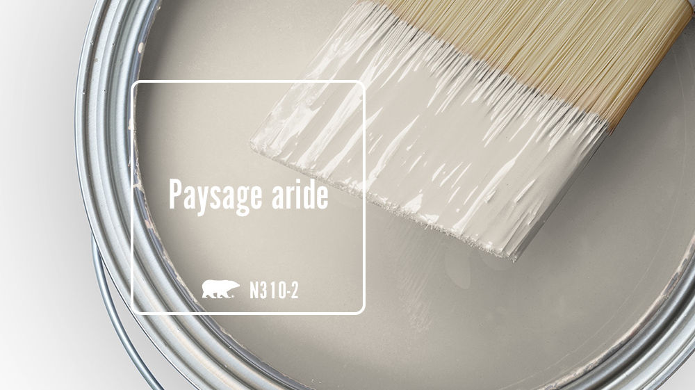 Paysage aride Color for Mobile