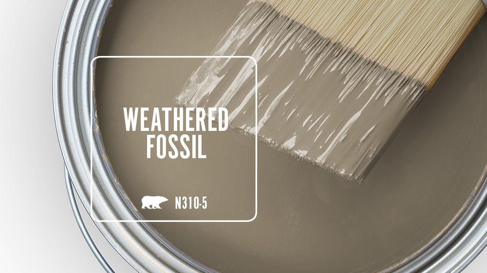 WEATHERED FOSSIL Color for Mobile