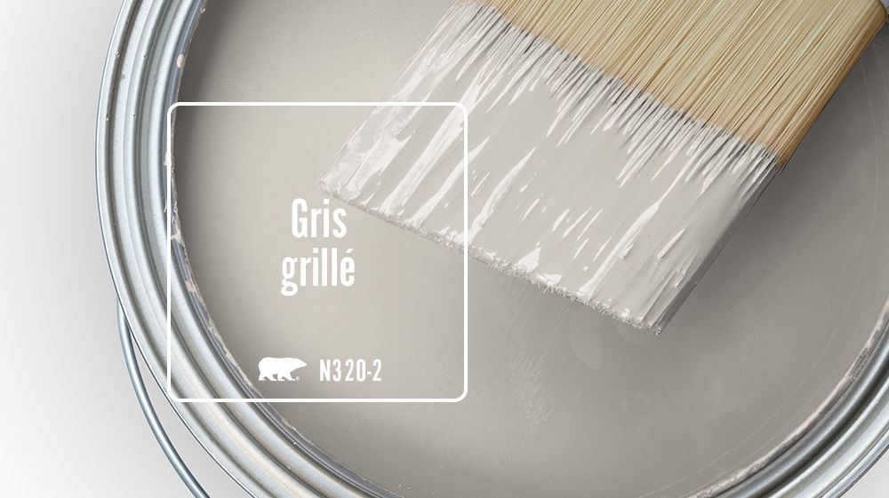 Gris grillé Color for Mobile