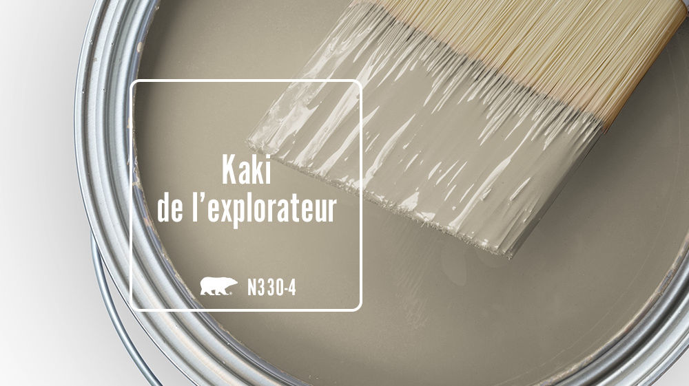 Kaki de l'explorateur Color for Mobile