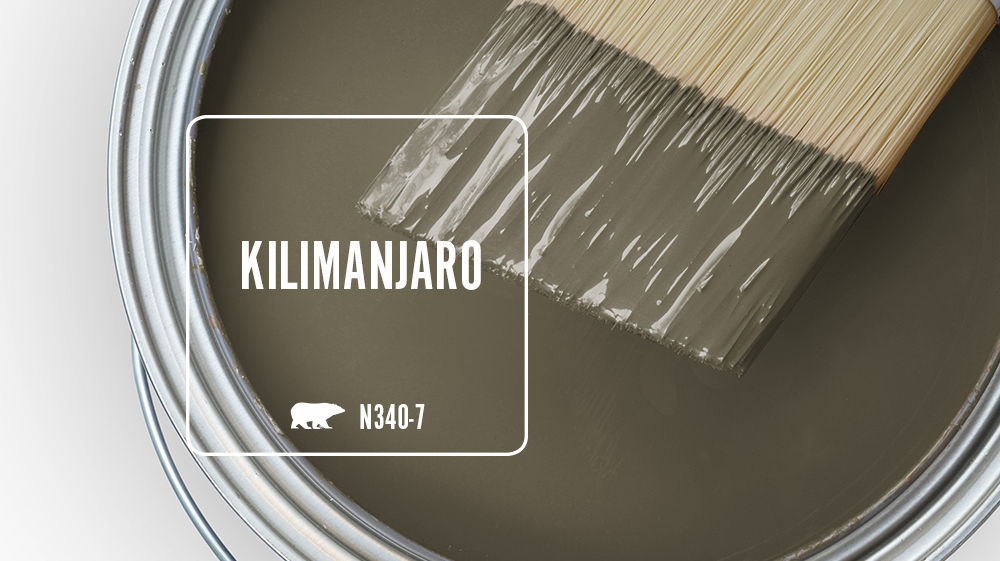 KILIMANJARO Color for Mobile