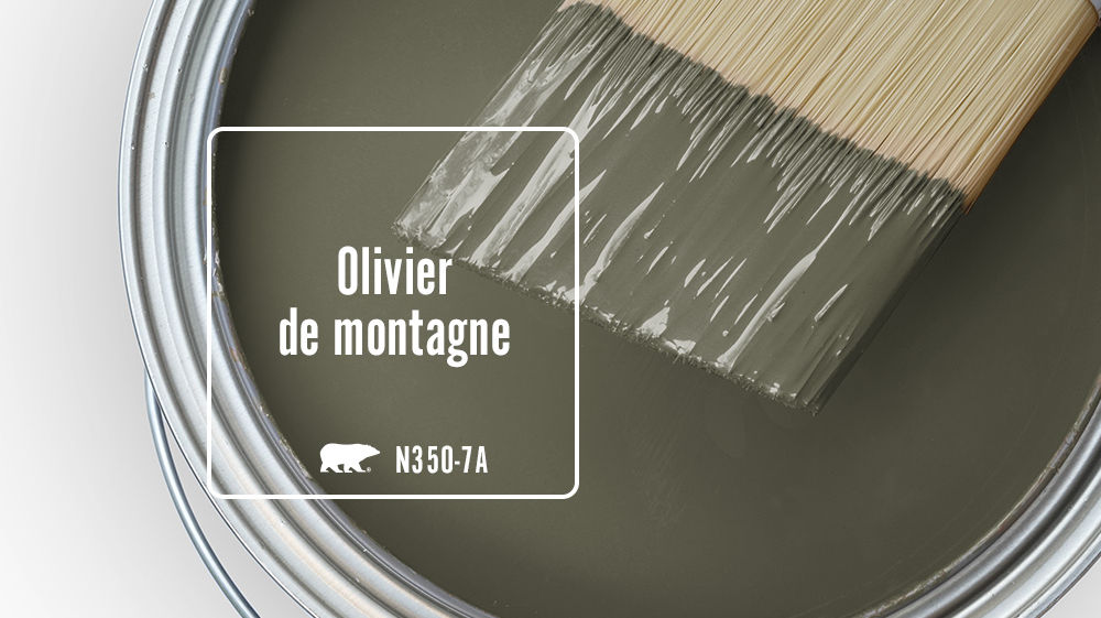 Olivier de montagne Color for Mobile
