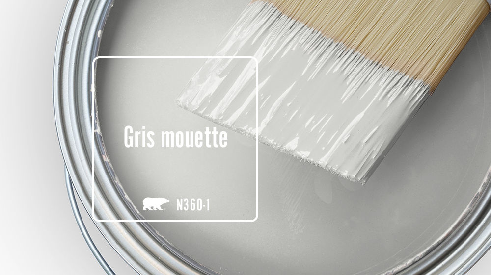 Gris mouette Color for Mobile