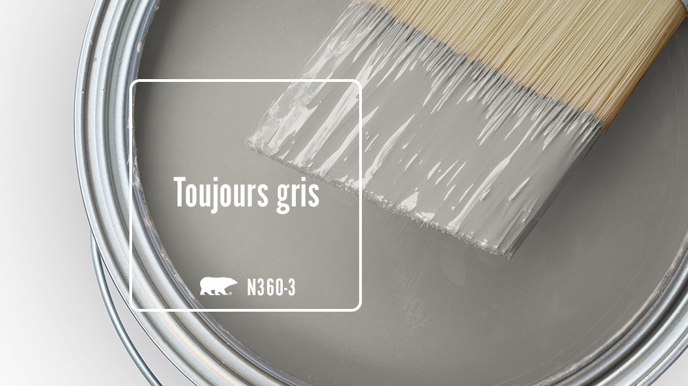 Toujours gris Color for Mobile