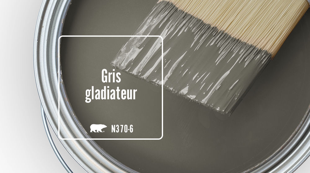 Gris gladiateur Color for Mobile