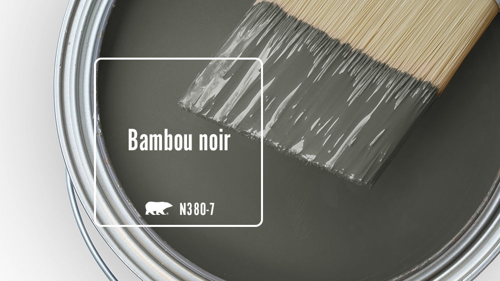 Bambou noir Color for Mobile