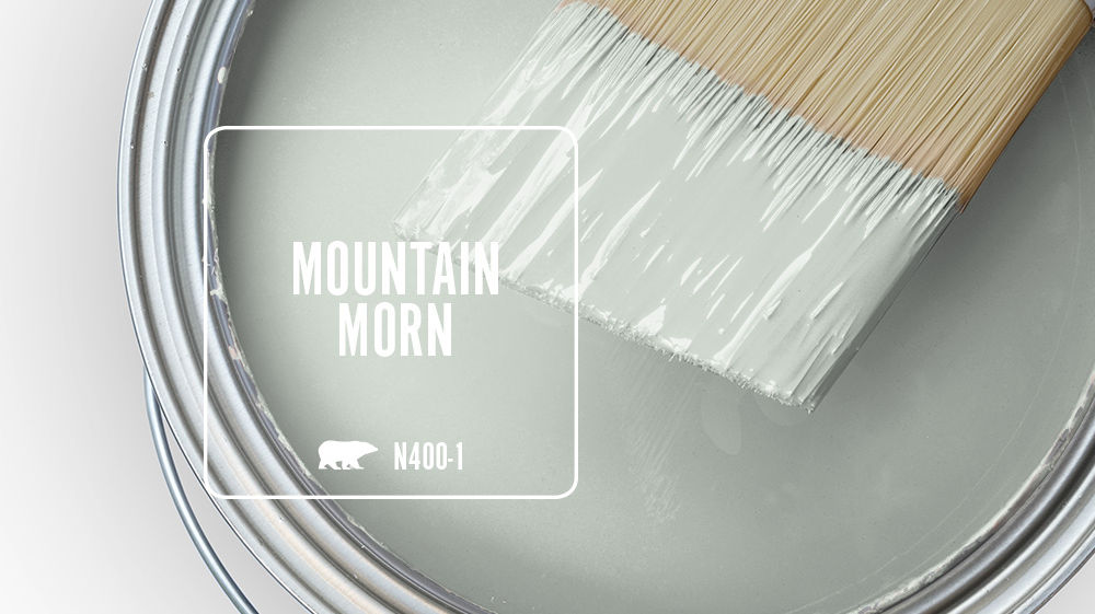 MOUNTAIN MORN Color for Mobile