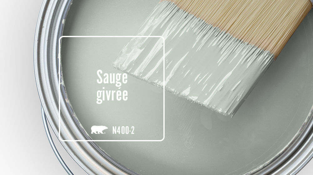 Sauge givrée Color for Mobile
