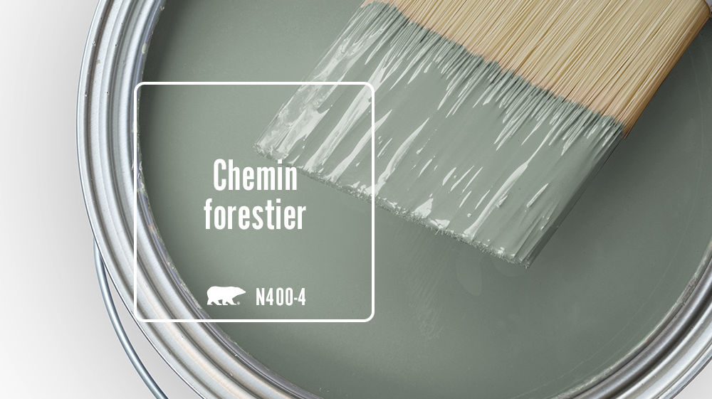 Chemin forestier Color for Mobile