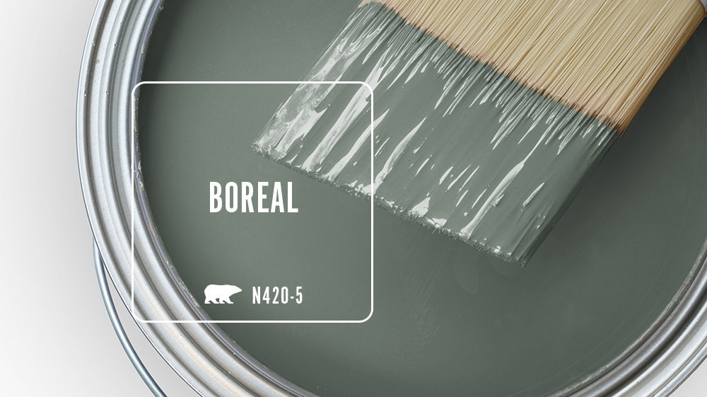 BOREAL Color for Mobile